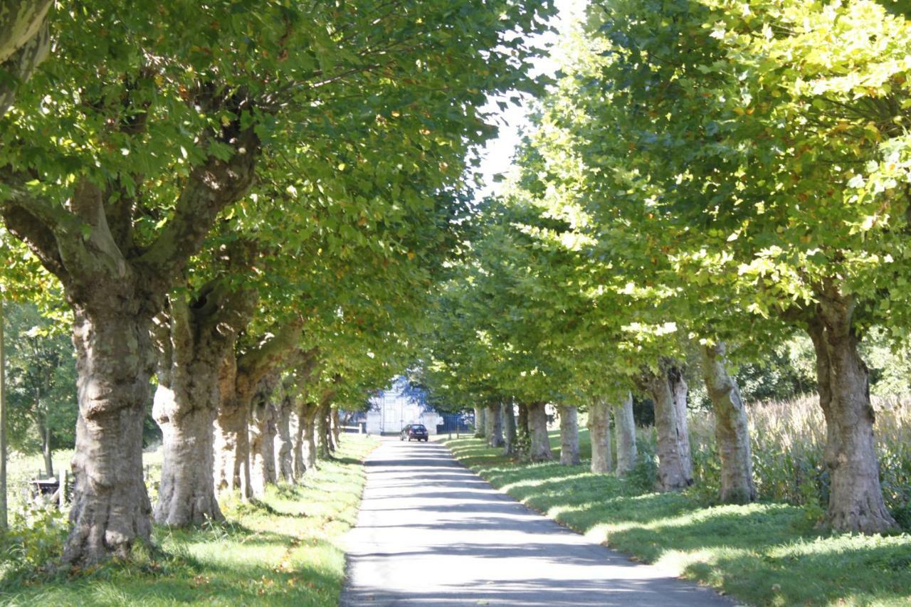 Avenue Du Chateau Saint-Just  Dış mekan fotoğraf